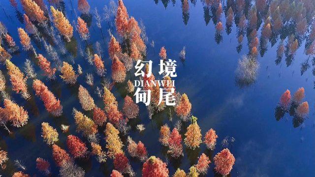 自由勇士历险记2