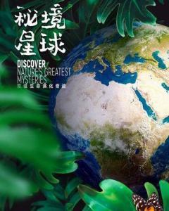 逃出林中村