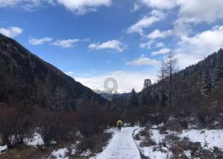 虫虫助手下载