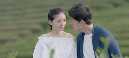 救援小孔雀