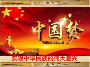 美妙森林找不同