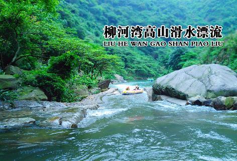 万词王