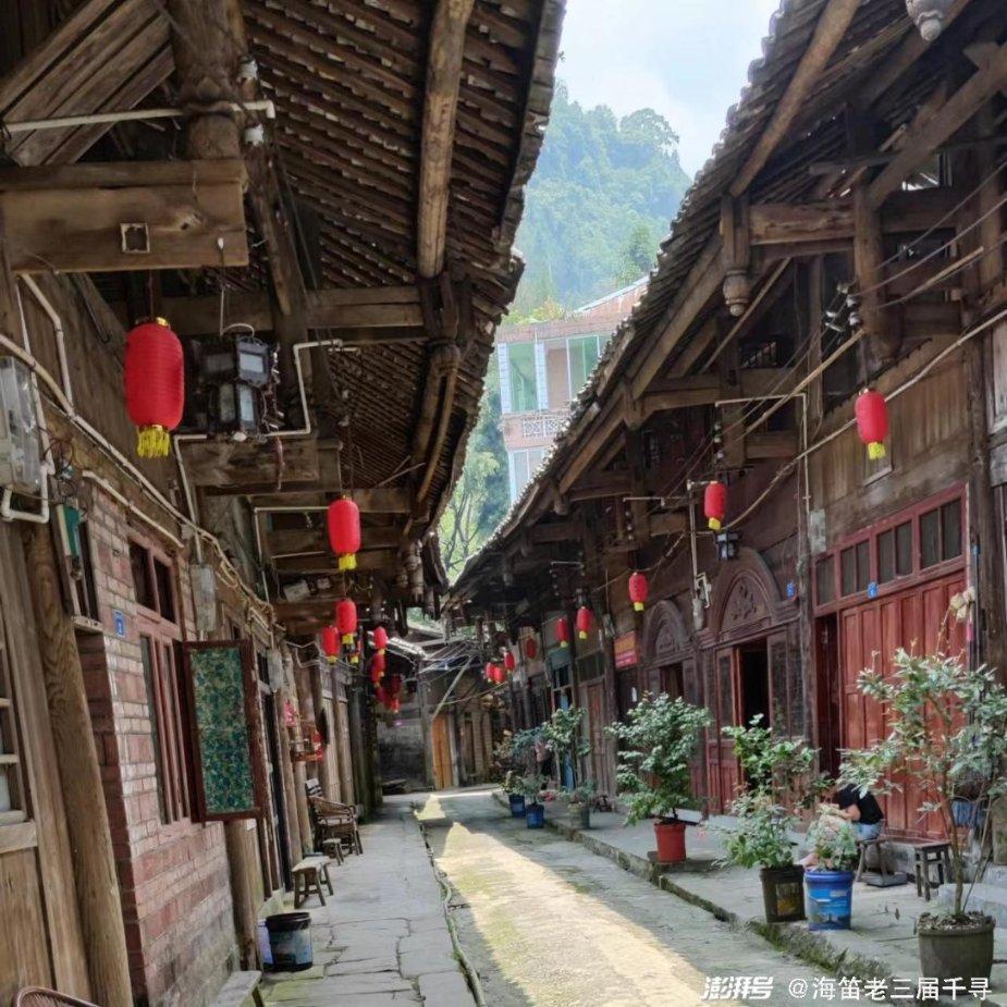 山东嘉祥:生态护鸟助旅游