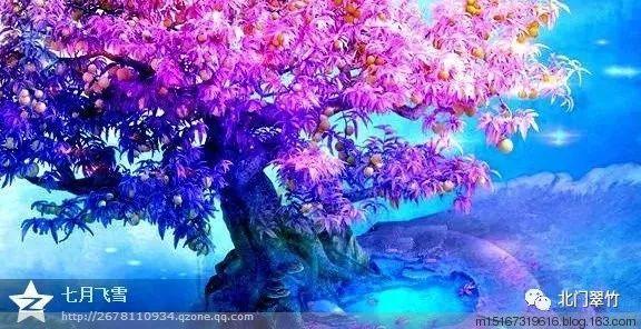 石林兴利达旅游客运有限公司被罚款2000元